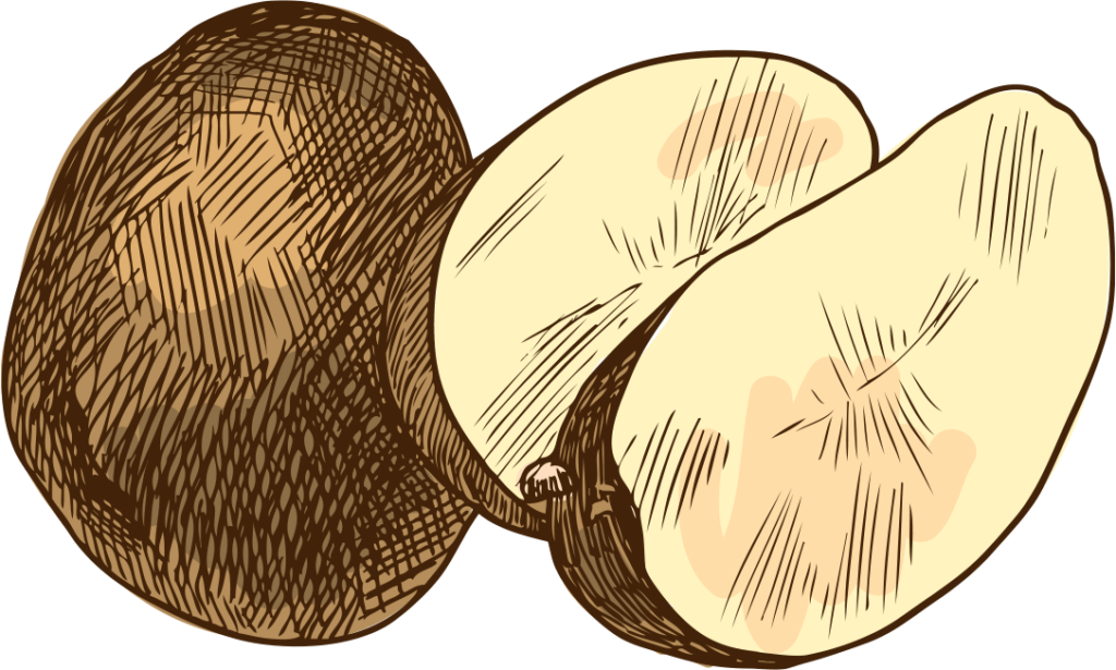 A.F Nyhuus Kartofler tegning